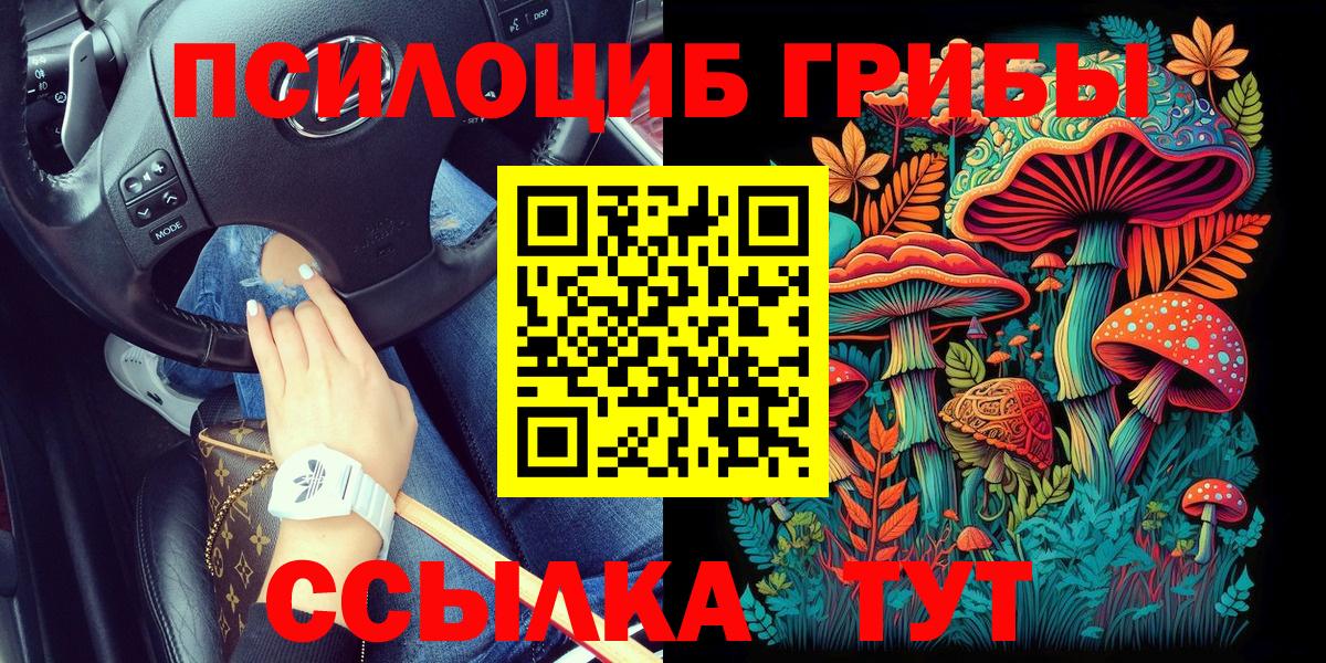 Карабулак  Галлюциногенные грибы GOLDEN TEACHER  Галлюциногенные грибы ЛСД  Вход с VPN 