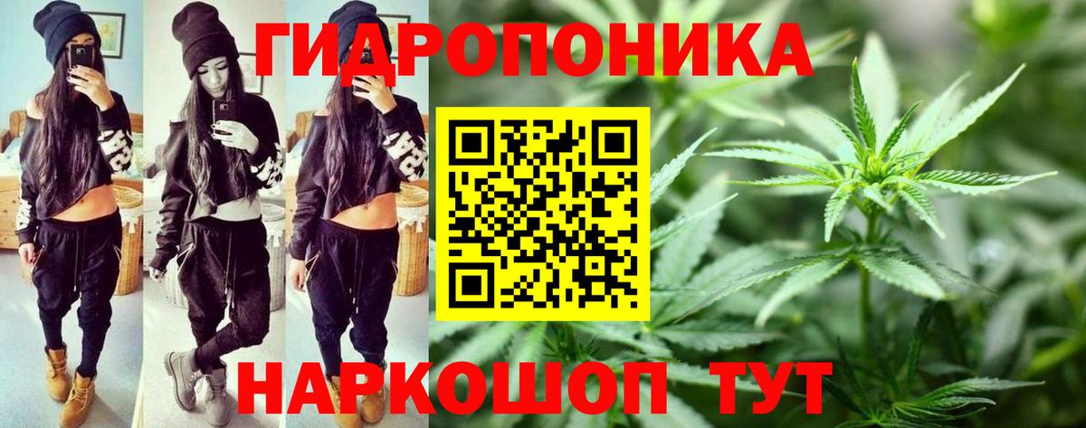 Карабулак  Бошки марихуана THC 21%  Канабис тримм  Вход с VPN  Бошки Шишки MAZAR 